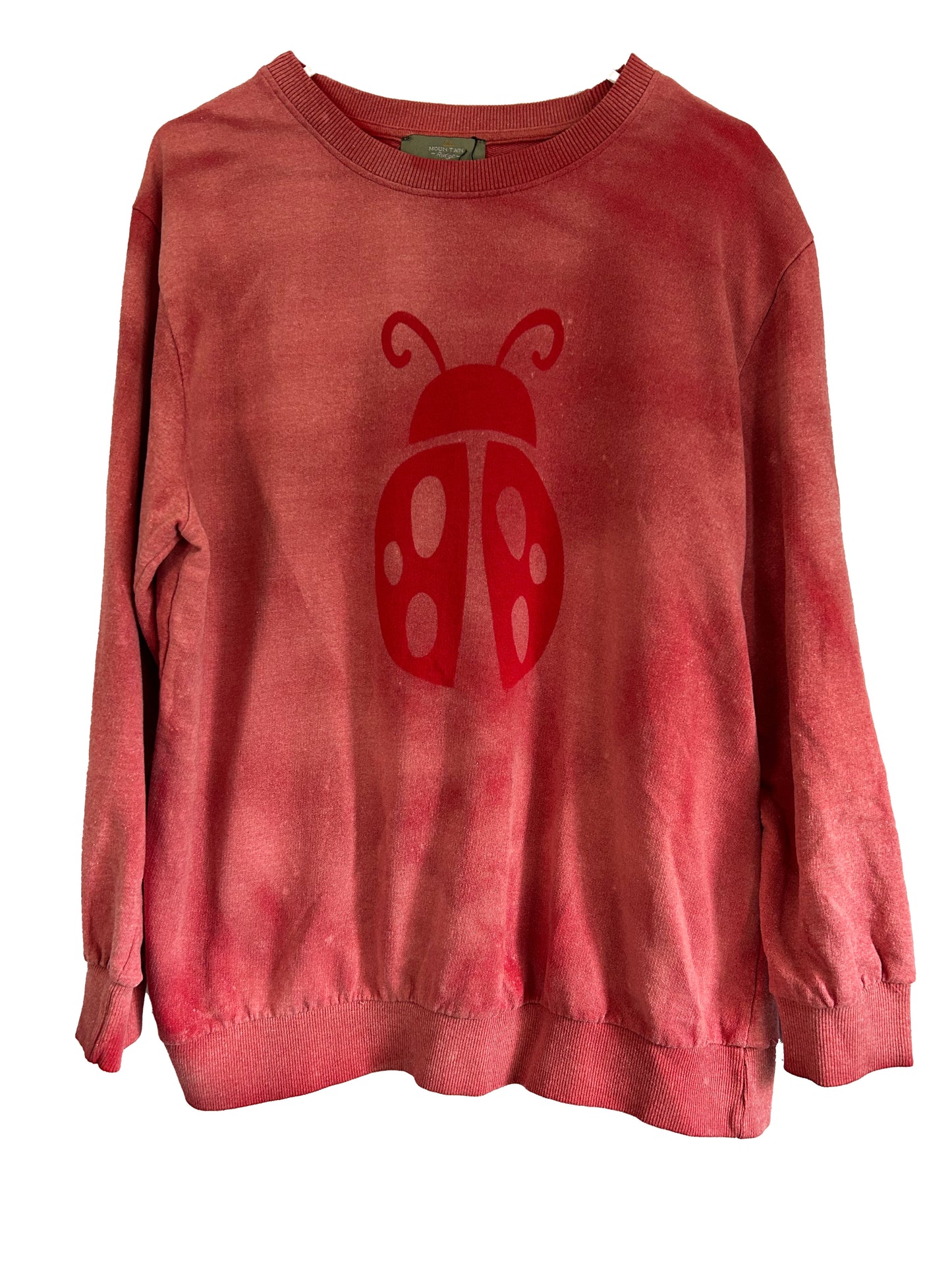 Bleached Ladybug Sweatshirt